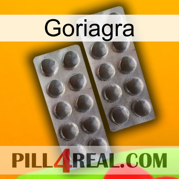 Goriagra 31.jpg